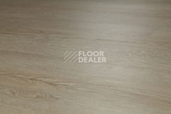 Tarkett Funky House Ricon фото 11 | FLOORDEALER